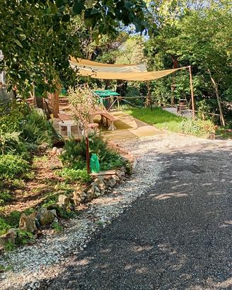 Terreno in zona centrale a Rosignano  Marittimo 