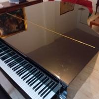 PIANOFORTE 1/2 CODA USATO ROESLER