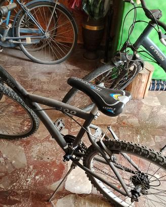 biciclette 