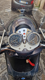 Scooter beverly cruiser 250