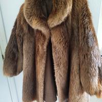 Pelliccia in vero castoro selvaggio 