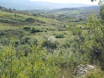TER. AGRICOLO A CASTROLIBERO