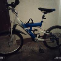 Mountain bike 20'