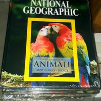 enciclopedia