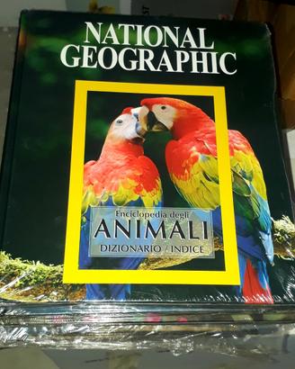 enciclopedia