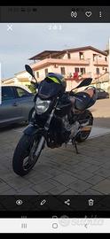 Hornet 600