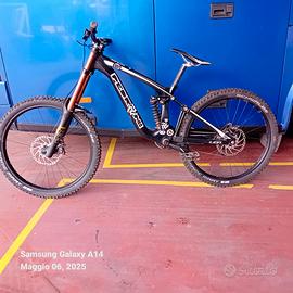 PEDRONI LION DH CARBONIO