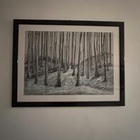 Quadri in bianco e nero