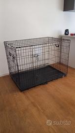 Kennel