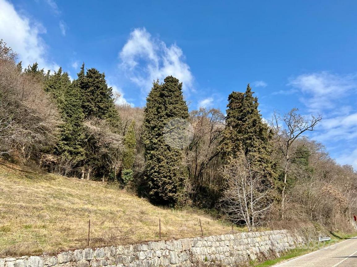 TER. AGRICOLO A CAPRINO VERONESE - Vista 3