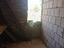 Immagine 11