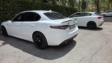 alfa giulia 