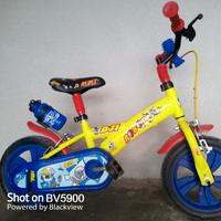 bicicletta per bimbo 