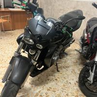 Honda hornet