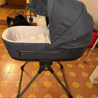 Naviicella inglesina aptica