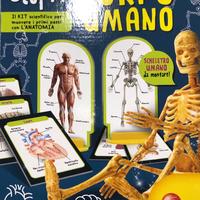 Gioco scopri il corpo umano