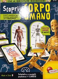 Gioco scopri il corpo umano