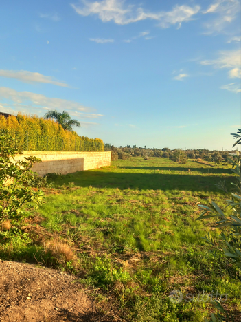 Terreno edificatorio con progetto approvato