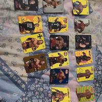 Carte wrestling wwe 2004