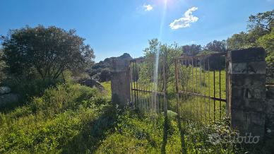Terreno agricolo Località Badde Manna