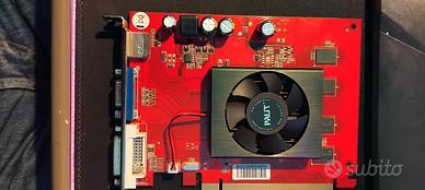 Gpu HD2400 PRo 256mb Palit