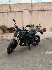 Rkf 125