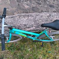 Mountain bike Adorni