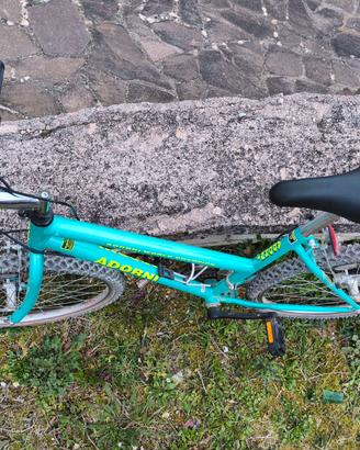 Mountain bike Adorni