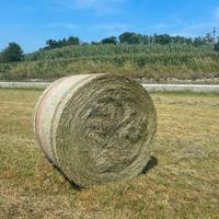 FIENO IN ROTOBALLE E BALLETTE