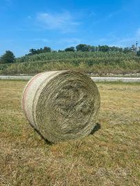 FIENO IN ROTOBALLE E BALLETTE