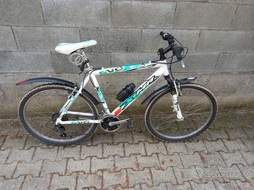 Bicicletta mountain bike