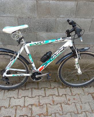 Bicicletta mountain bike