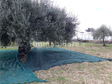Terreno agricolo a Noto C.da Carcicena SP56