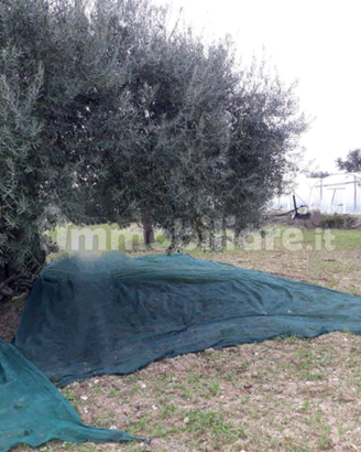 Terreno agricolo a Noto C.da Carcicena SP56
