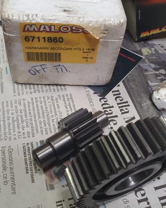 Rapporti secondari malossi 6711680 runner 4 tempi 