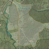 Terreno - azienda agricola 46 Ha - Sorgono (NU)