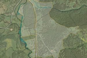 Terreno - azienda agricola 46 Ha - Sorgono (NU)