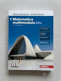 Matematica multimediale.blu 1 9788808821867