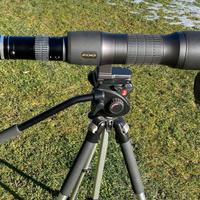 teleobiettivo/cannocchiale Nikon Fieldscope D85P