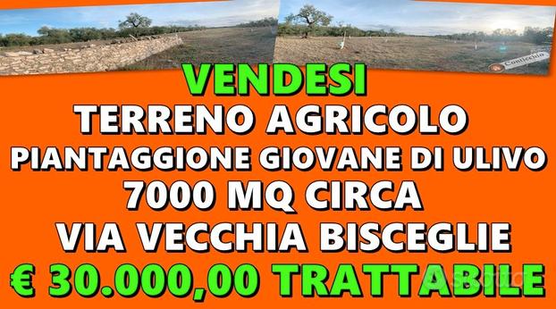 Terreno Agricolo