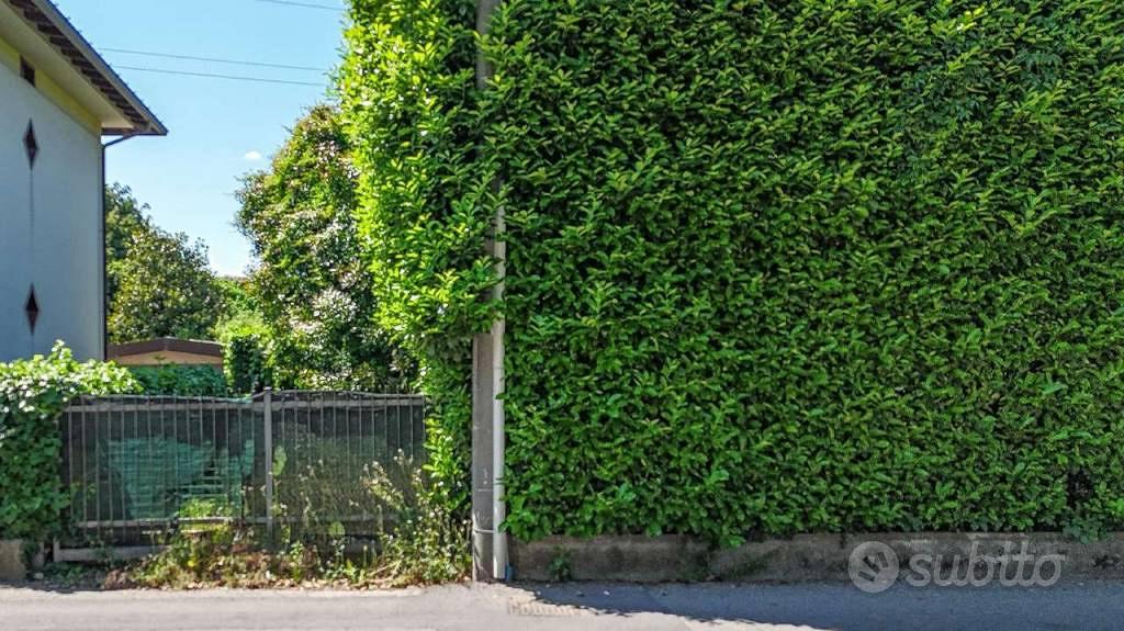 Terreno di 3000 m² a Ponte San Pietro - Vista 2