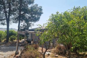 Terreno e Deposito Con Acqua e Luce