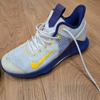 scarpe nike basket lebron