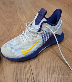 scarpe nike basket lebron