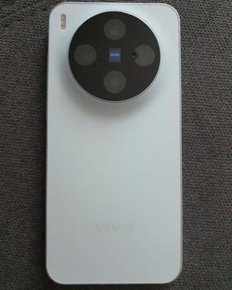 Vivo x 300 16/ 1 terabyte 