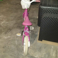 Bicicletta bambina ruote da 16