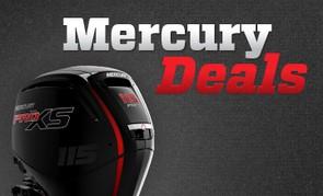 Motore fuoribordo MERCURY F40 3 cilindri - SMART