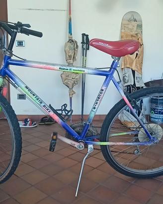 MOUNTAIN BIKE per adolescenti