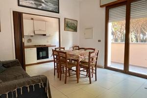 La mazzanta, 16/7-31/8 rif 51a