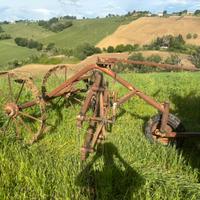 Ranghinatore a pettine